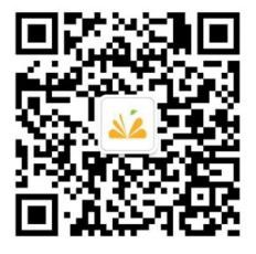 橙艺艺术在线
